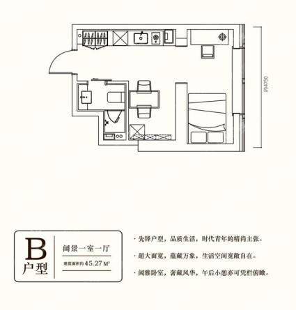 B-建面45.27㎡-一居-1室1厅1卫-45.3㎡