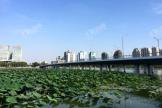 启迪科技城（扬州）周边配套扬州明月湖