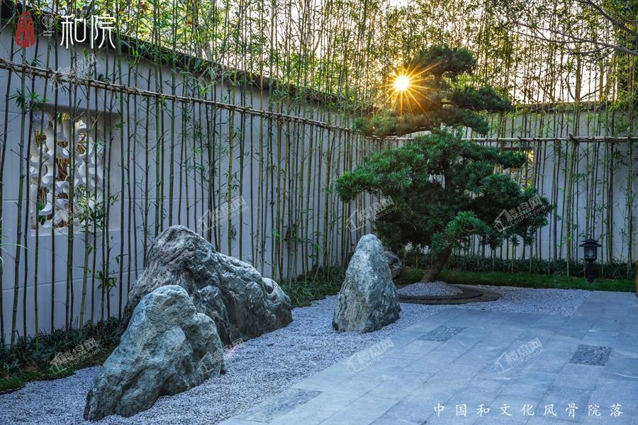 保利山渐青【和院】实景图