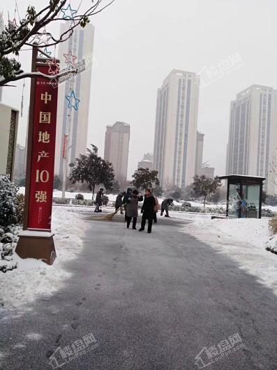 龙湖天宸原著营销中心门口雪景图
