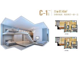 c-1 67.45平方米 