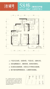 58栋2单元03户型3房两厅两卫105㎡