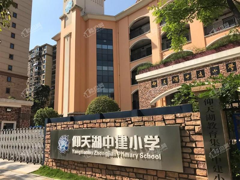 仰天湖中建小学