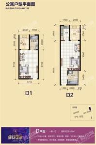 峰尚国际·公寓D2户型 1室1厅1卫1厨