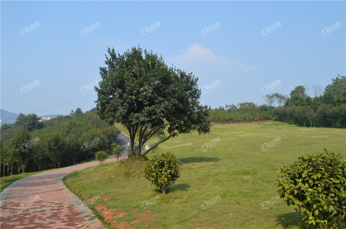 中地翡翠湾山顶公园实景