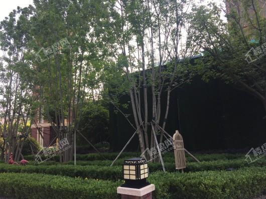 马鞍山朗诗熙华府效果图_实景图_样板间-马鞍山楼盘网