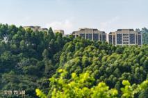 金地香山湖小区实景