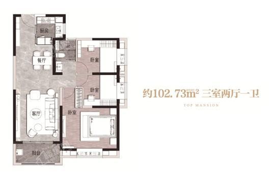 碧桂园天麓102.73㎡户型 3室2厅1卫1厨