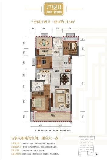 金辉城9#D户型116平 3室2厅2卫1厨