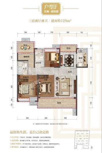 金辉城11、15、16#F户型129平 3室2厅2卫1厨