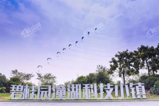 碧桂园·潼湖科技小镇项目