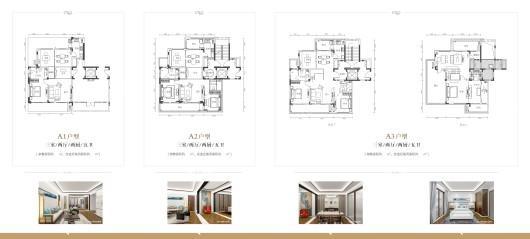 国寿嘉园·逸境洋房A户型 3室2厅5卫2厨