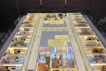 中晟Park公寓展厅楼层模型