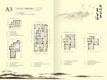 新安兰亭A3排屋户型图 262.56㎡