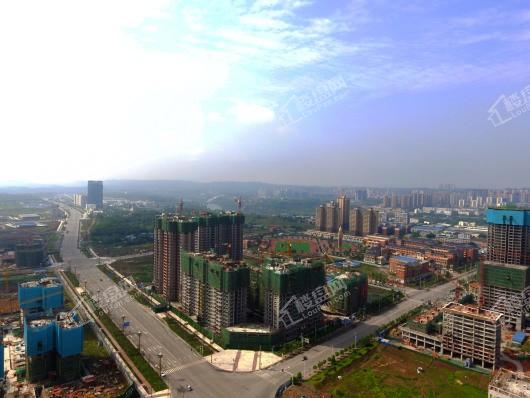 川师大卓锦城实景图