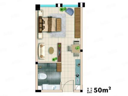 50㎡户型 开间  建筑面积：约50m²