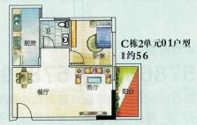 C栋2单元01户型 一房一厅一卫 56㎡