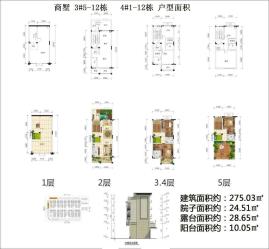 （商墅）3#5-12栋、4#1-12栋 六室两厅六卫一厨 275.03㎡