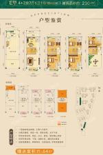 （商墅）E户型 六室两厅六卫一厨 230㎡ 赠送64㎡