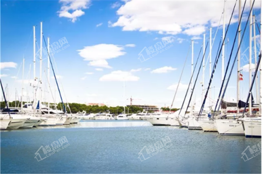 国安七星海岸国际专业帆船赛事级码头