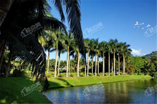 国安七星海岸兴隆热带植物园
