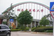 周边大学