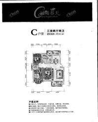 辰溪晨阳春天户型C