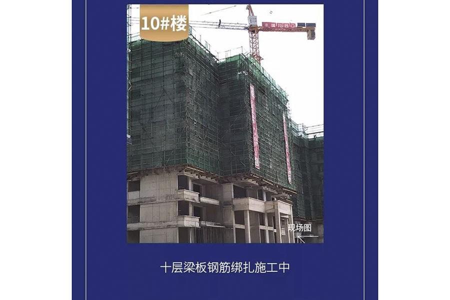  金科观天下B区二期10#楼实景图（摄于2019-7-11）