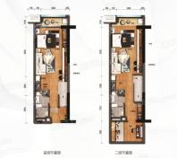 碧桂园潼湖科技小镇·科学城A1户型 2室2厅1卫1厨