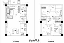 开元壹号公馆45㎡户型图