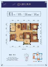 埠上桃源 E1户型