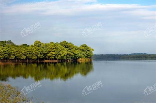 融创无忌海周边 湖景