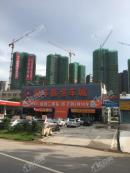 中海水岸城花园项目8期楼栋施工