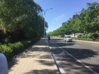 中国铁建·青秀嘉苑周边道路