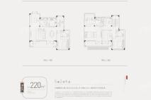 港龙融创山水拾间220南入户型 5室2厅4卫1厨