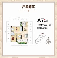 A7户型，建筑面积132平