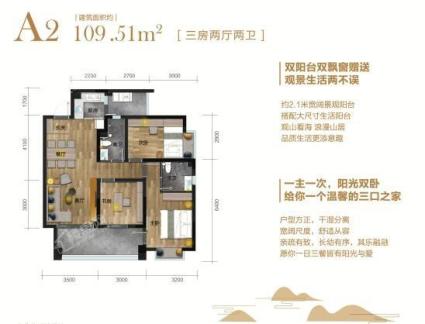 空中院落A2户型