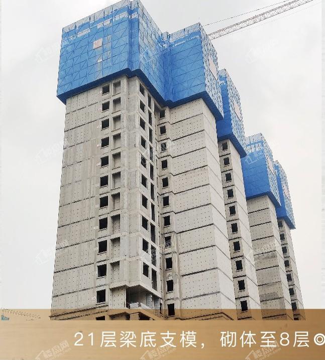 建业通和府2期工程进度：16#楼21层梁底支模，砌体至8层