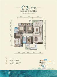 C2户型4室2厅2卫118㎡
