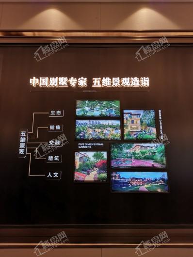 龙湖·龙誉城品牌宣传墙