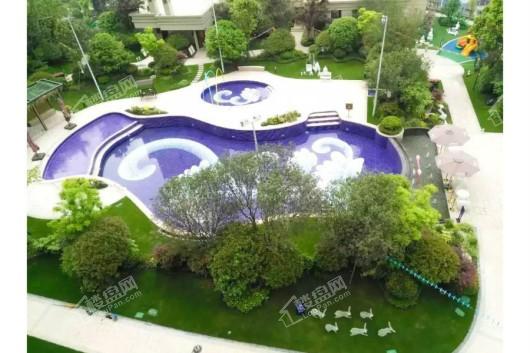 忠州碧桂园示范区-泳池俯瞰