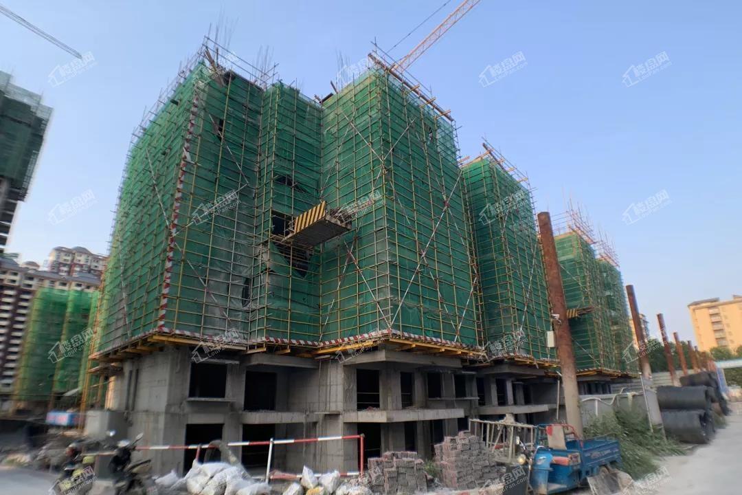 8月工程进度：1#楼（共27层）8层主体浇筑完成