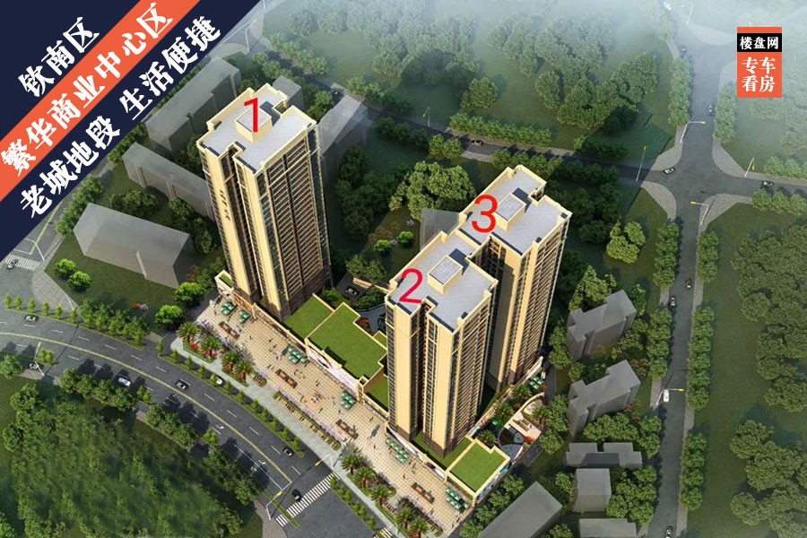 2020年广西钦州灵山GDP_广西钦州灵山图片