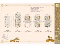 D型商墅建筑面积243.14㎡居住面积184.62㎡