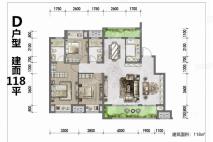 D户型建面约118平