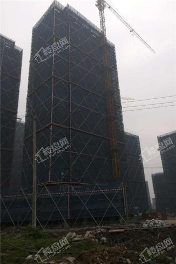 上实海上海(二期)在建工地 
