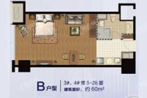 众安银泰城B户型 1室1厅1卫