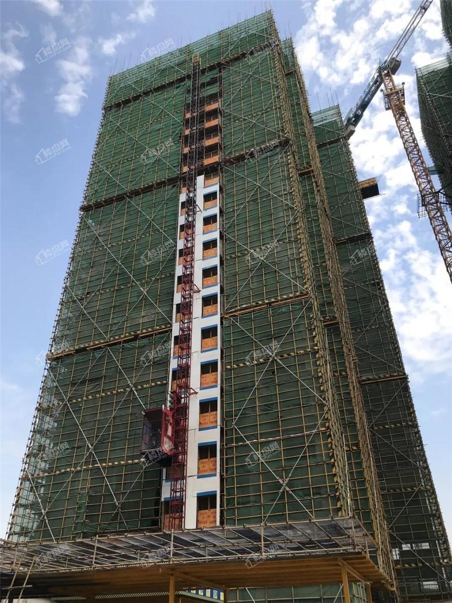 金科博翠山1#楼施工现场实景图（摄于2019-9-19）