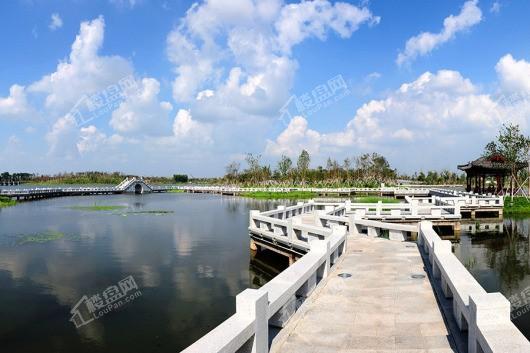 万科溪望周边北湖湿地公园