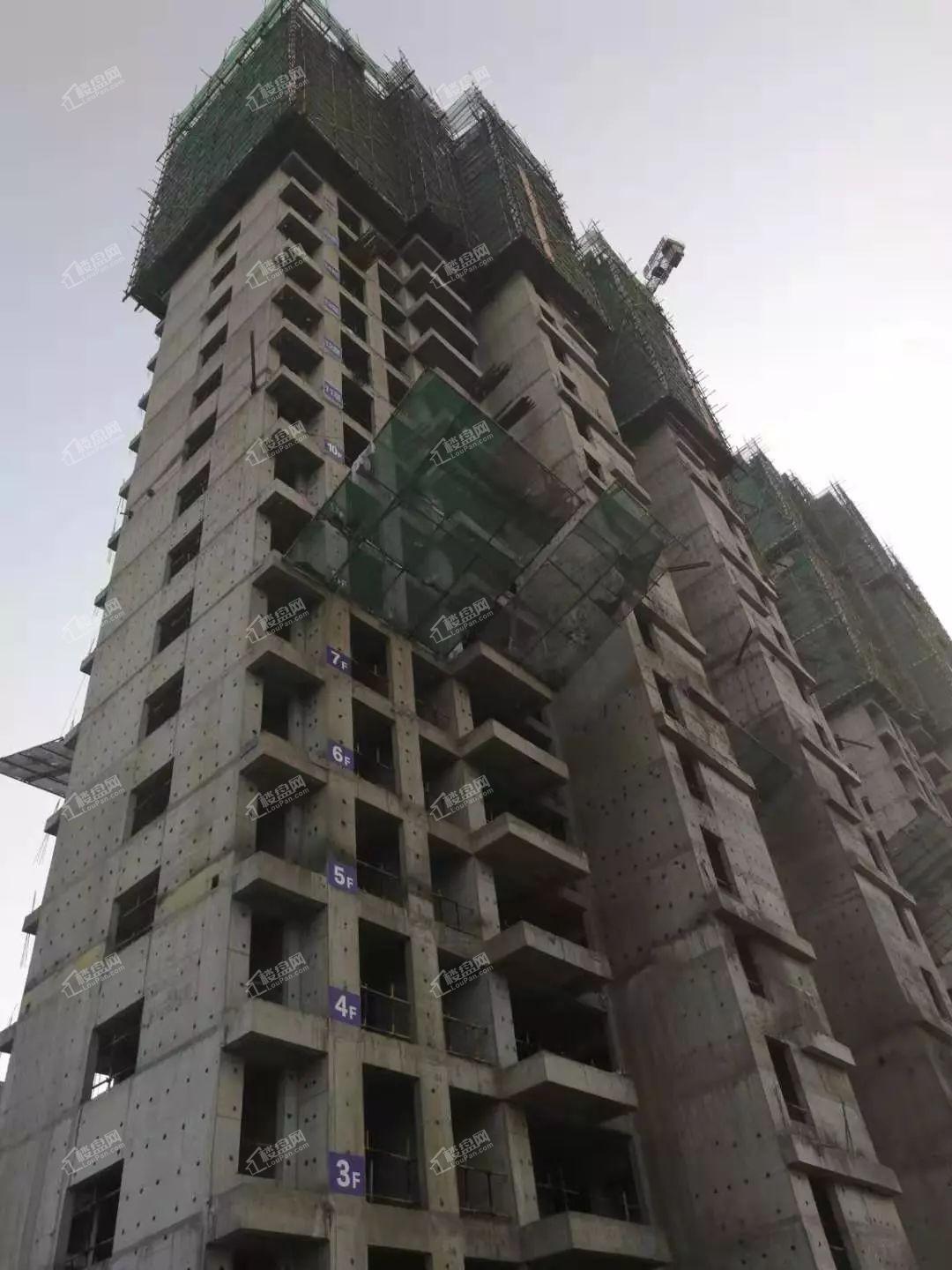 15#楼主体施工至二十三层